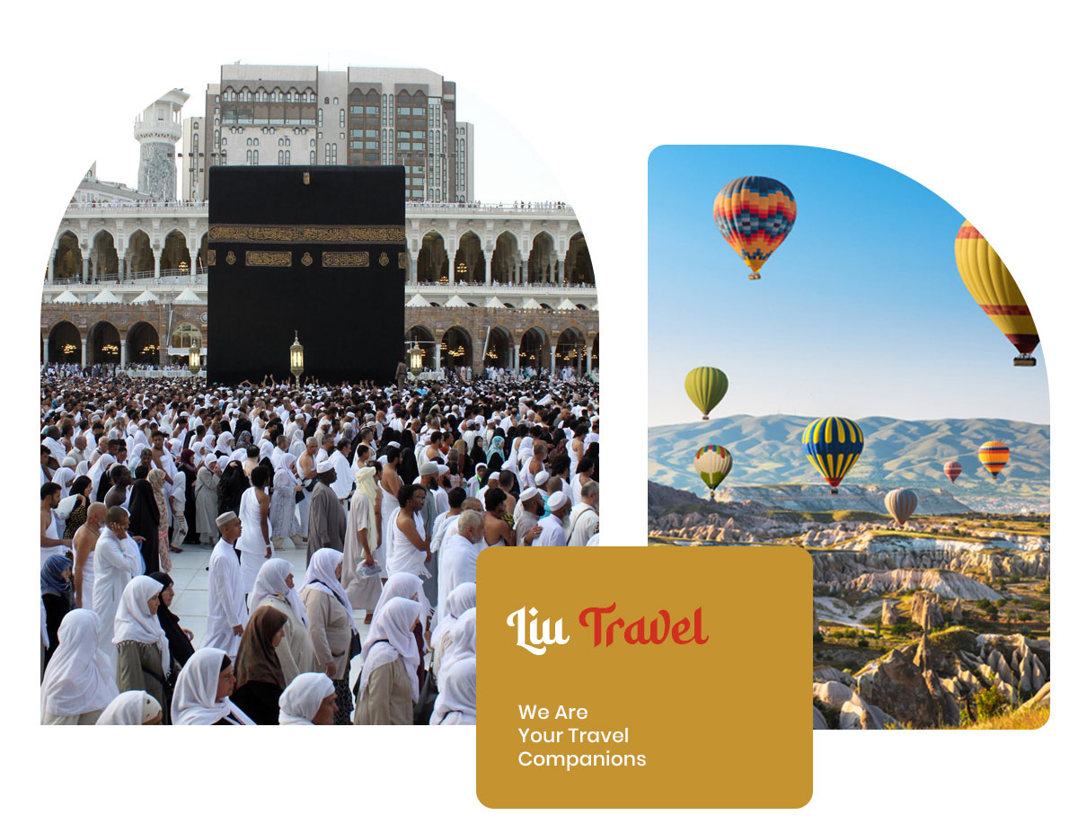 LIU-TRAVEL-PROFIL